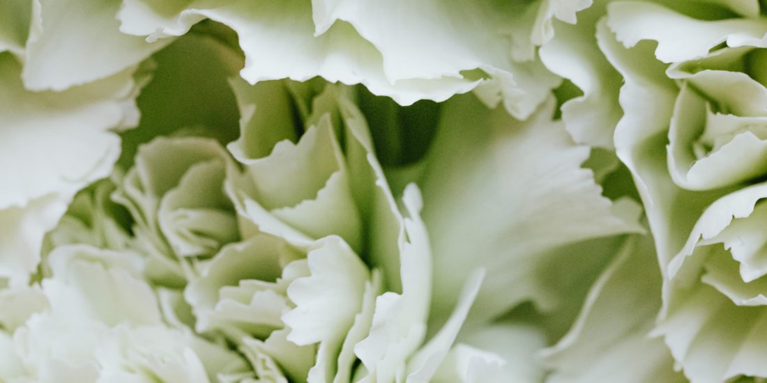 brautatelier ried-flower love-pexels-karolina-grabowska-4622808-min